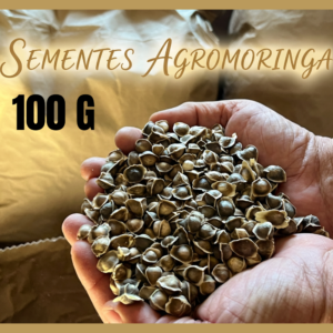 100 G Semente de Moringa