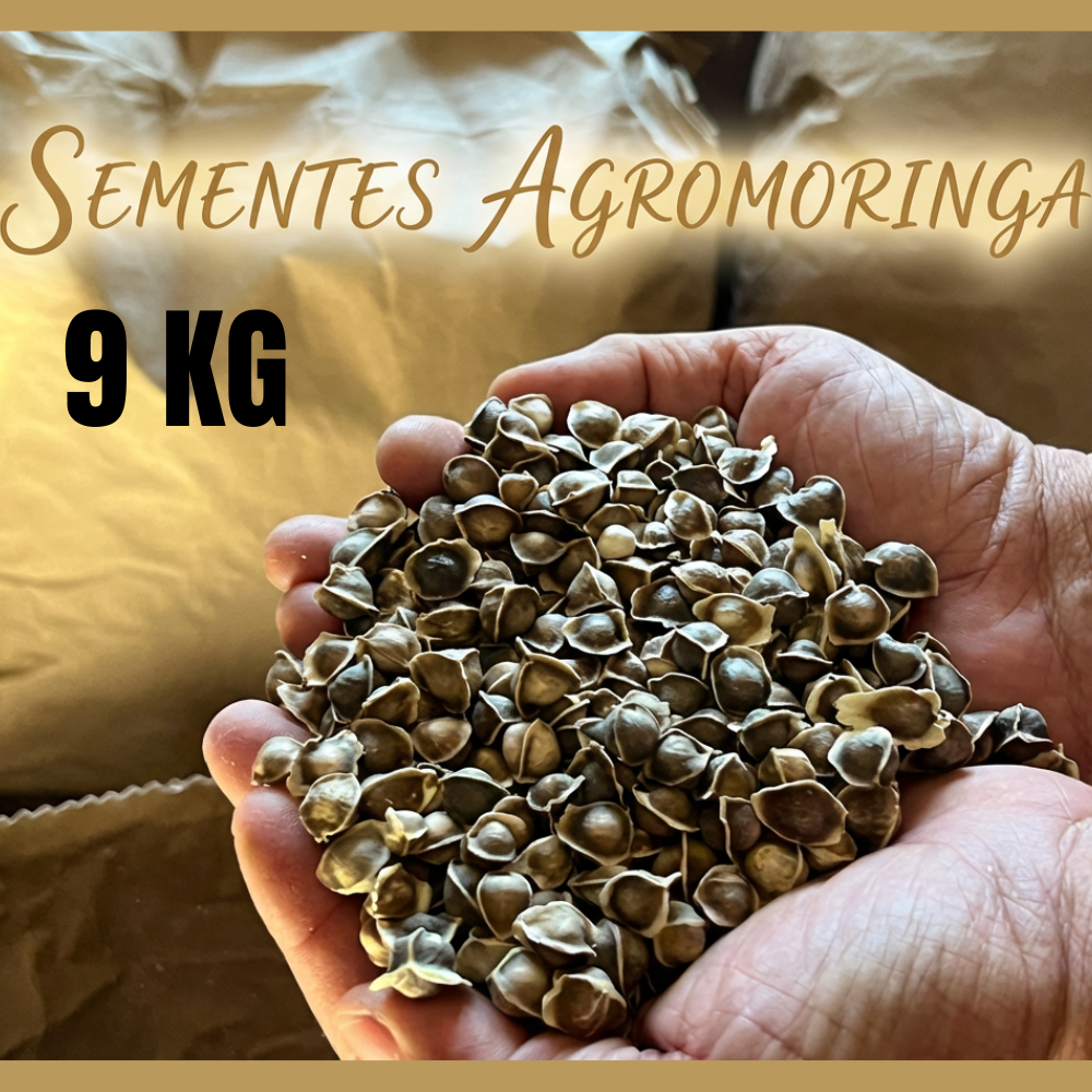 9 KG Semente de Moringa