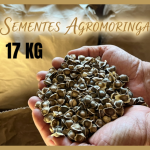 17 KG Semente de Moringa